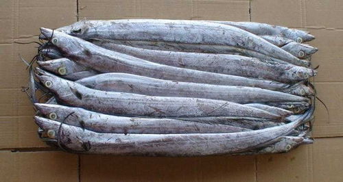 进口北极虾口岸消杀代理服务与生存水温管理